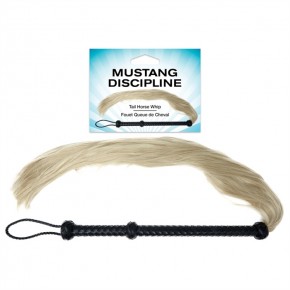 Mustang Discipline