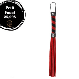 Petit fouet